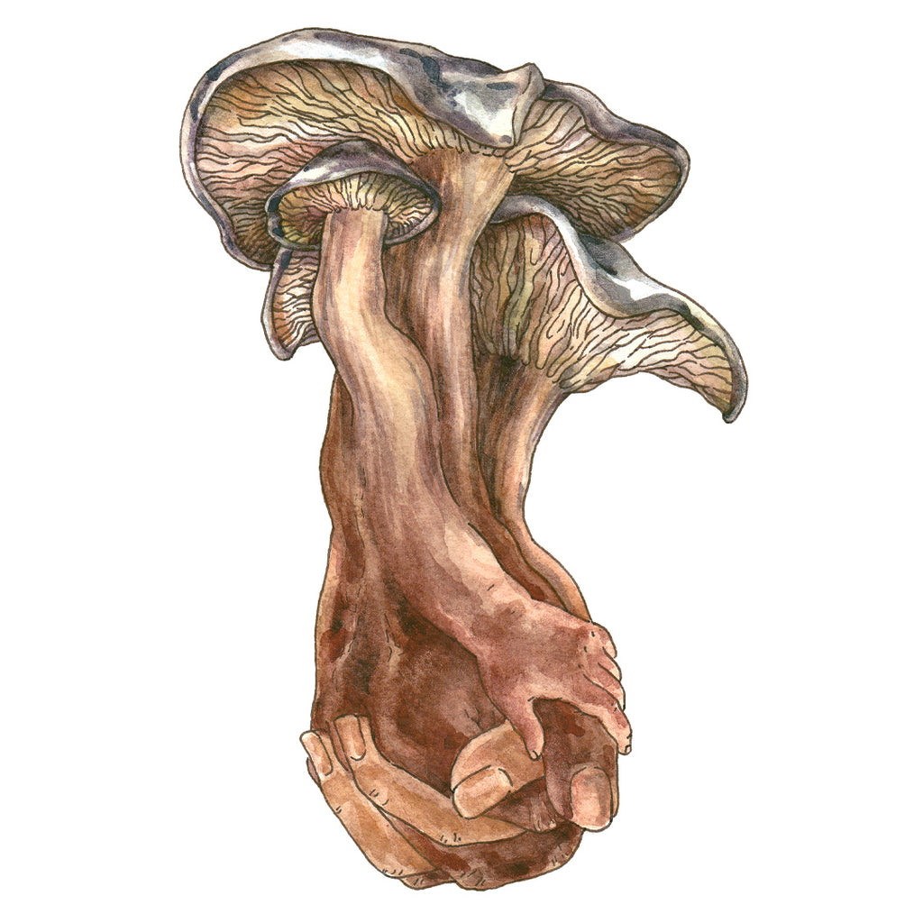 Shop ATown Store – Shop Atown